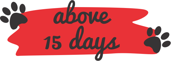 above-15-days
